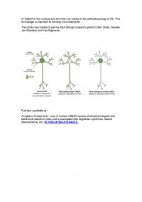 Publishing Nature Elgersma Mice research ASA[2]_Page_2